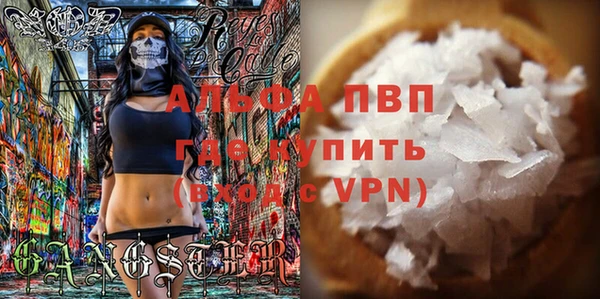 шишки Горняк