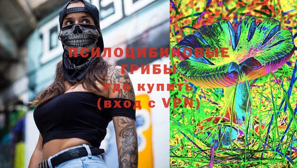 дмт Горнозаводск