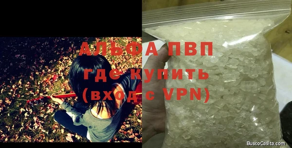 шишки Горняк
