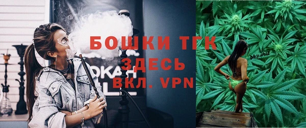 дмт Горнозаводск