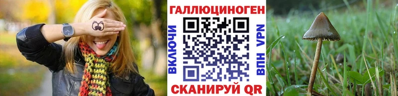 Купить закладки Топки Галлюциногенные грибы GOLDEN TEACHER