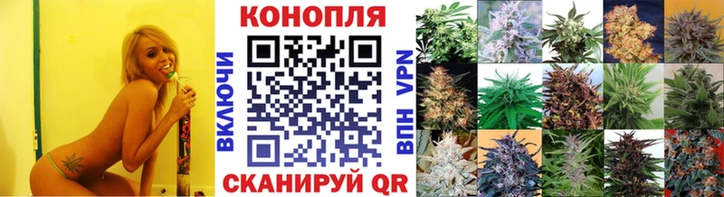 Купить где  Топки  Бошки марихуана Bruce Banner 